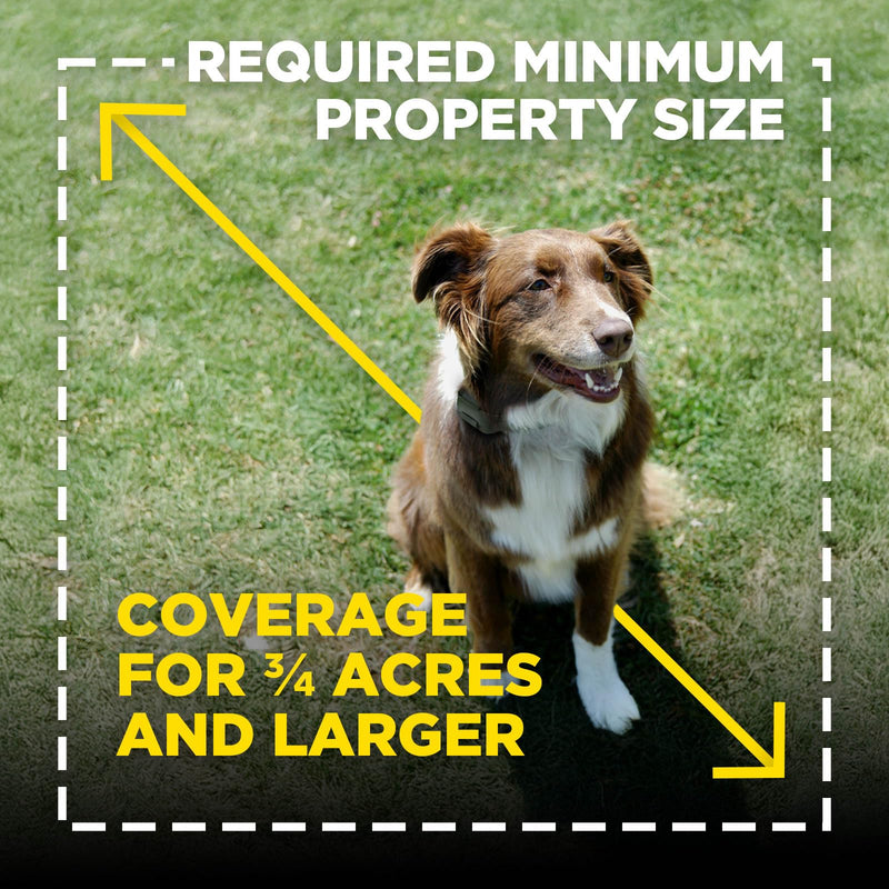 Dogtra Training Flags for GPS Fence/SMART Fence – 50-Pack Neon Orange Boundary Markers – Flexible, Weather-Resistant Yard Flags for Wireless Fence Training, Pet Containment, Safe Outdoor Setup Training Flags Only