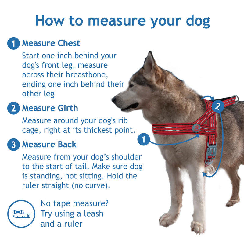 DOCO No-Pull Dog Harness for Small Sized Dog, Halter Reflective Easy-Control Harness for Training, Walking, and Preventing Pulling, Breathable Design - Raspberry Pink - PawsPlanet Australia