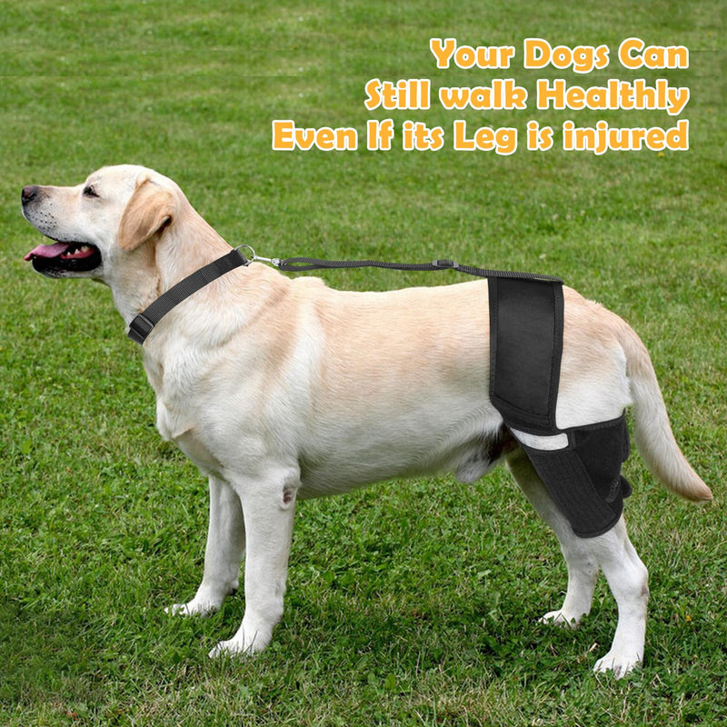 Dog Knee Brace for Torn ACL Hind Leg， Supports Large and Small Dogs with CCL, Cruciate Ligament Injury, Osteoarthritis Relief, Enhances Mobility and Better Recovery (M) Medium - PawsPlanet Australia
