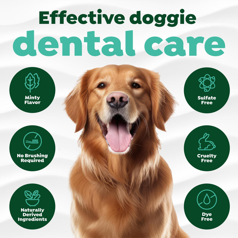 TropiClean Fresh Breath No Brushing Clean Teeth Dental & Oral Care Gel for Dogs, 4oz - 3 Pack Original ﻿4 Fl Oz (Pack of 3) - PawsPlanet Australia