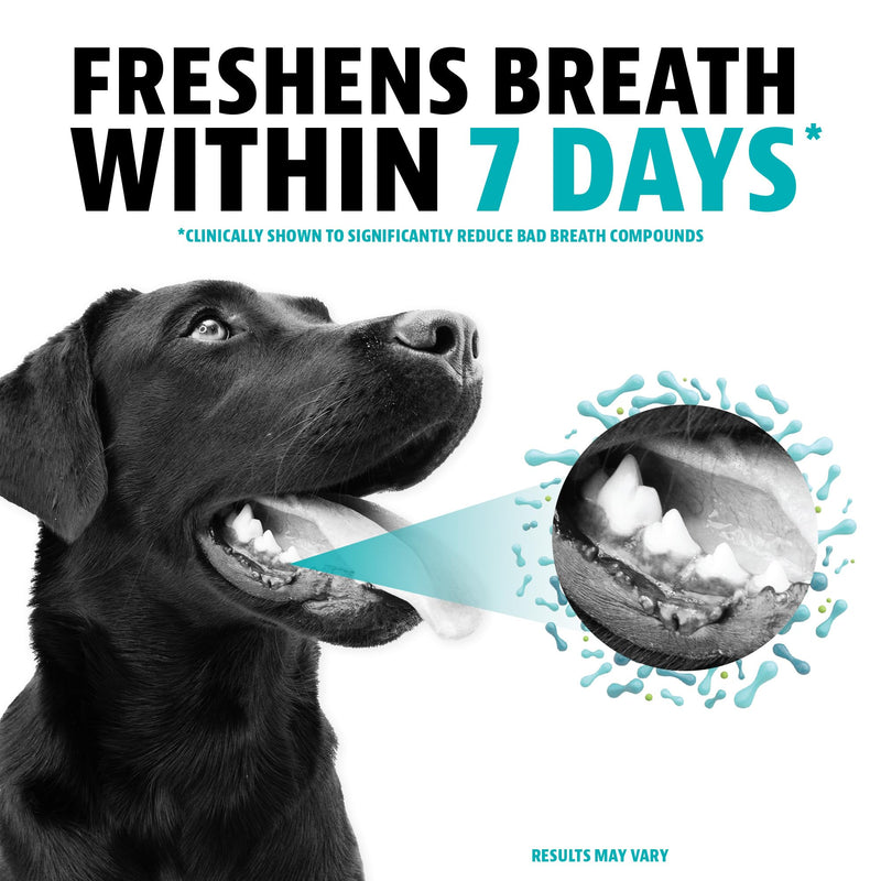 Dinovite Dog Dental Powder, Brush-Free Breath Freshener & Teeth Cleaning Dental Care Powder with Probiotics & Postbiotics, Oral Care Bad Breath Treatment, Large Dogs, Made in USA, 30 Day Supply 1.94 Ounce (Pack of 1) - PawsPlanet Australia