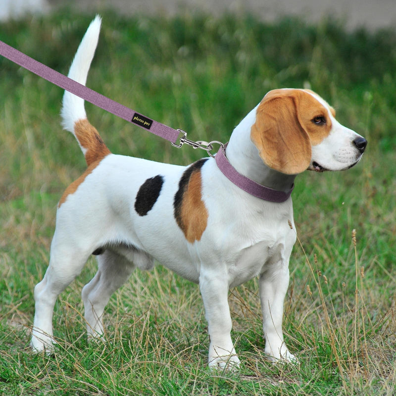 Plutus Pet Cotton Hemp Dog Collar and Leash Set, Adjustable Collar for Small, Medium, and Large Dogs, Heavy Duty and Soft on Skin, Lavender, S - PawsPlanet Australia