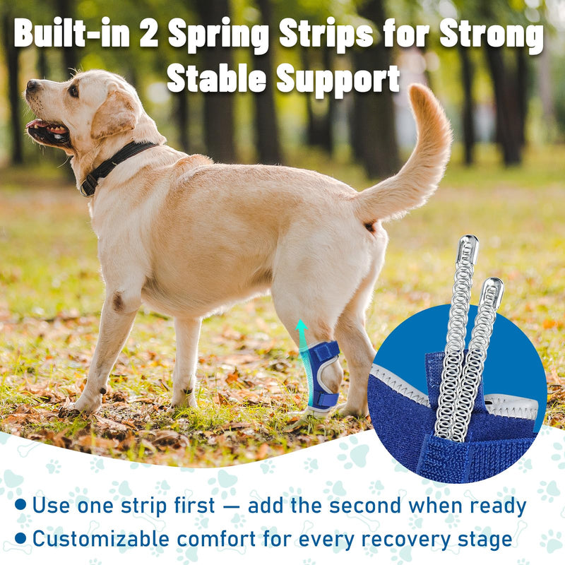Dog Leg Braces for Back Leg- Hock and Ankle Joint Support Brace for Rear Legs with 2 Metal Strips, Reflective Edging for Sprain, Injury, Arthritis, Wound Recovery,Blue,XL