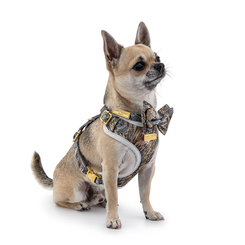 Luxury Occasion Dog Collar With Detachable Bow Tie in Grey Gold Silk (Extra Small) Extra Small