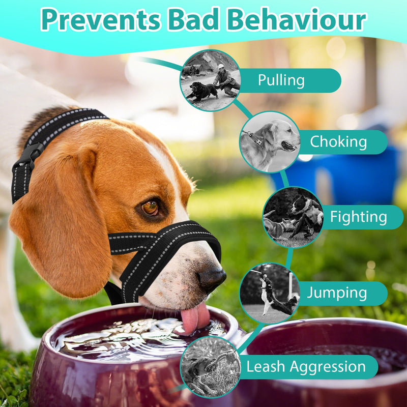 Dog Headcollar, Anti-Pull Dog Collar, Adjustable Reflective Dogs Muzzles, No Pull Mouth Harness with Training Leash, L (Black) Black - PawsPlanet Australia