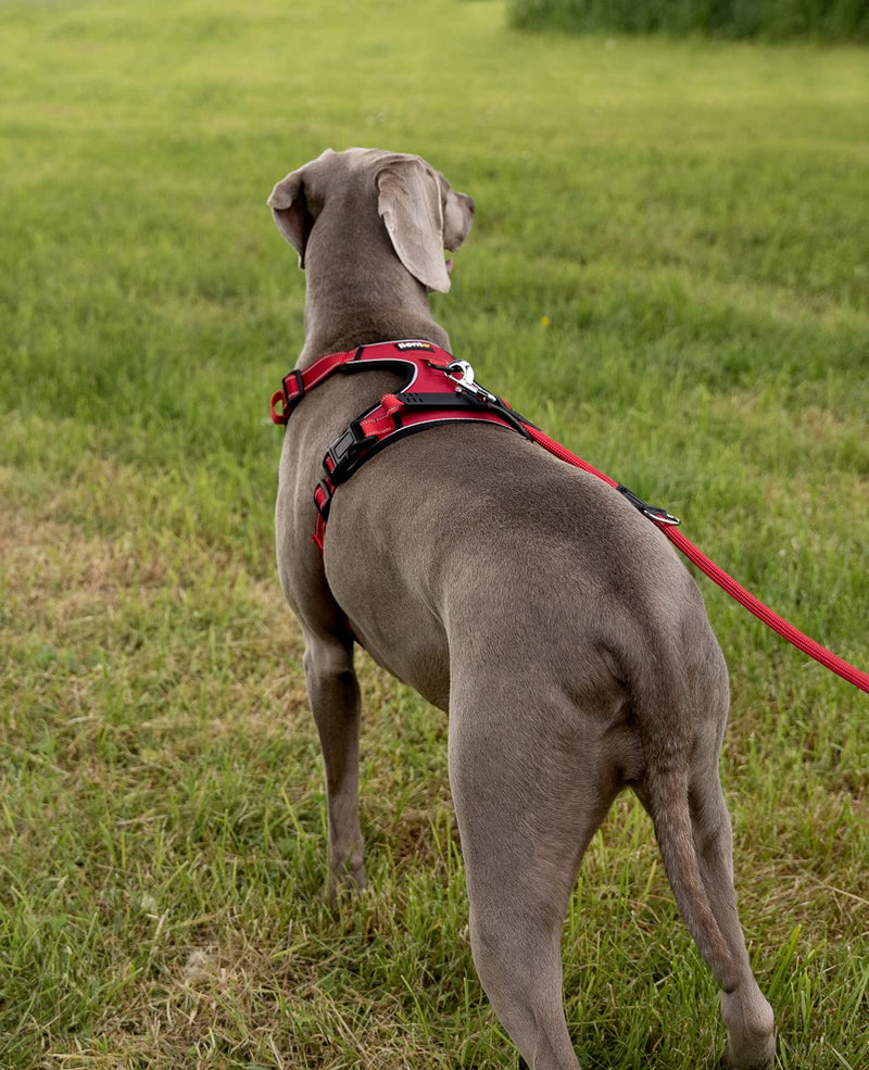 lionto Dog Harness Padded Anti Pull Reflective Safety Harness Adjustable Size XL Red