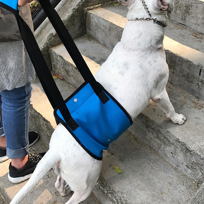 Adjustable Dog Harness Dog Training Carrier Soft Padded Leads Non Pull Lifts Harness Pet Carrier Support for Hind Legs Male Large Dogs