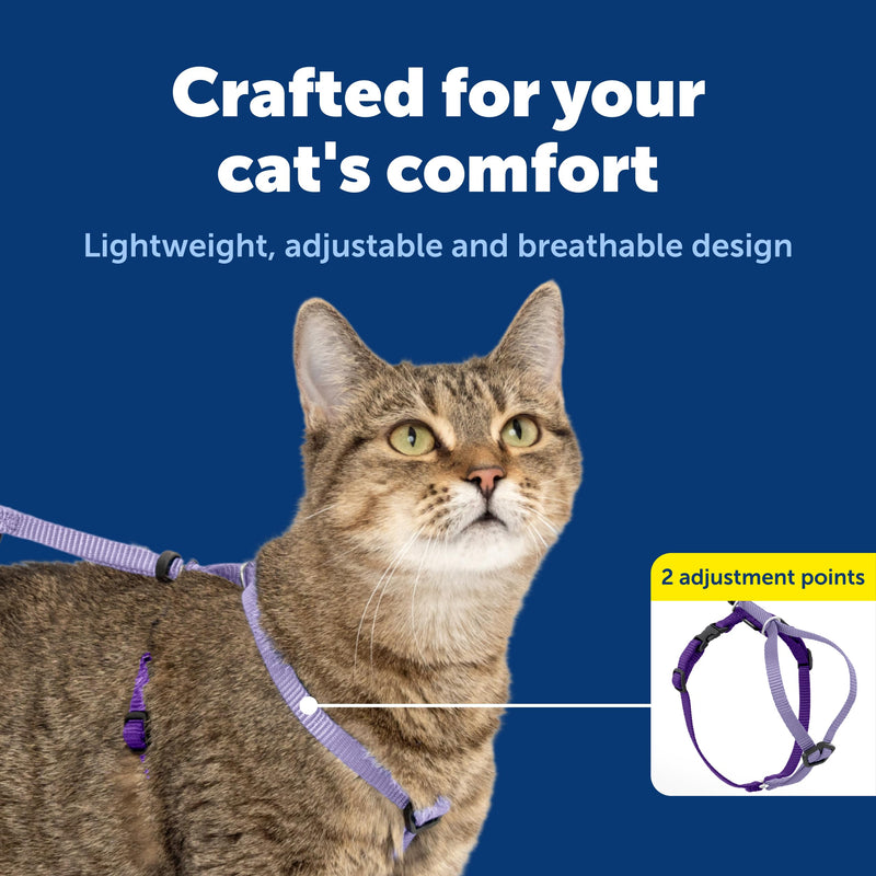 PetSafe Come with Me Kitty Cat Harness & Bungee Leash - Comfortable No-Choke Harness with Lightweight Bungee Leash for Outdoor Fun - Escape Free Pulling Prevention - Large - Lilac Large (Pack of 1) - PawsPlanet Australia