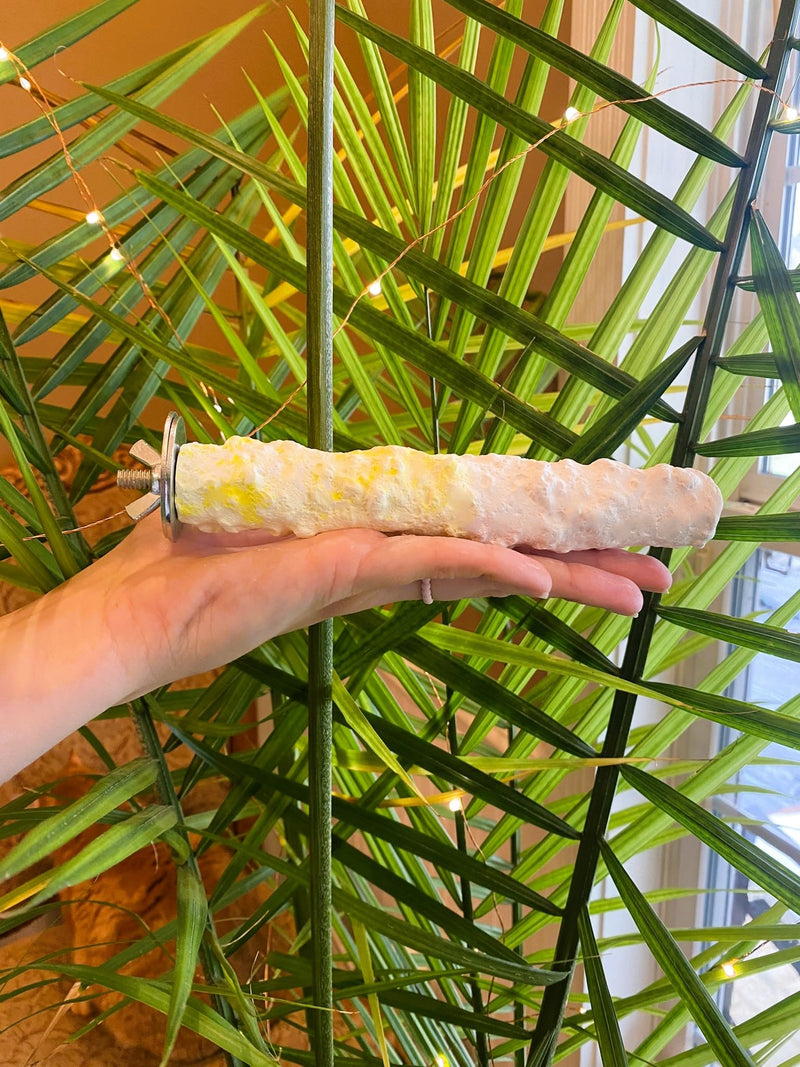 Cuttlebone & Calcium Perch Medium Pineapple Yellow - PawsPlanet Australia