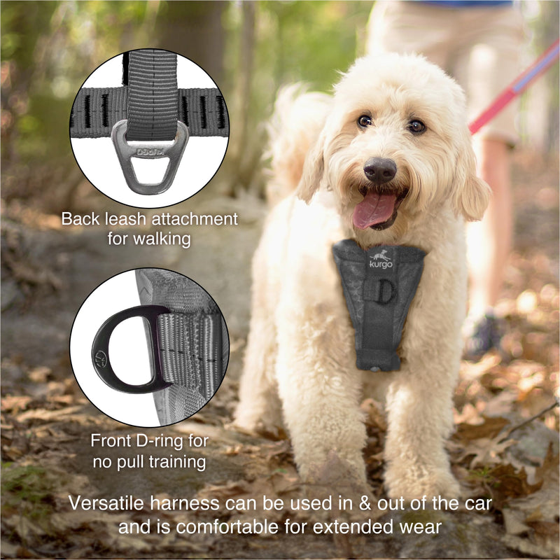 Kurgo Enhanced Strength Tru-Fit Dog Car Harness - Pet Travel Safety Harness - Crash Test Certified Fit - Five Point Adjustment - Secure Buckle - Padded Chest - Charcoal - Small