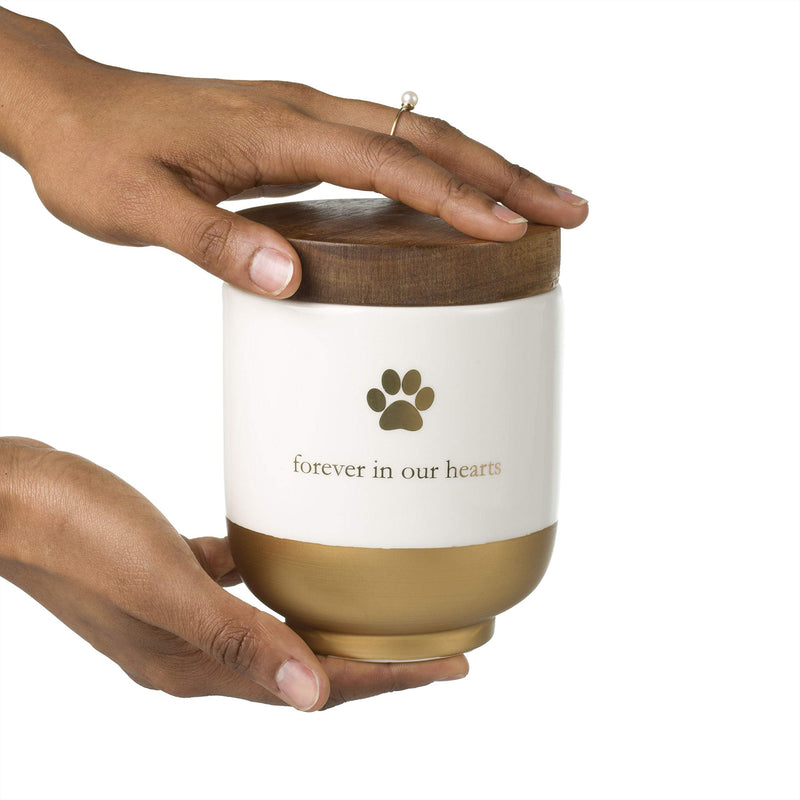 Pearhead Pet Ceramic Forever in Our Hearts Urn, Pet Memorial, Dog Or Cat Keepsake Urn, Rainbow Bridge, Gold - PawsPlanet Australia