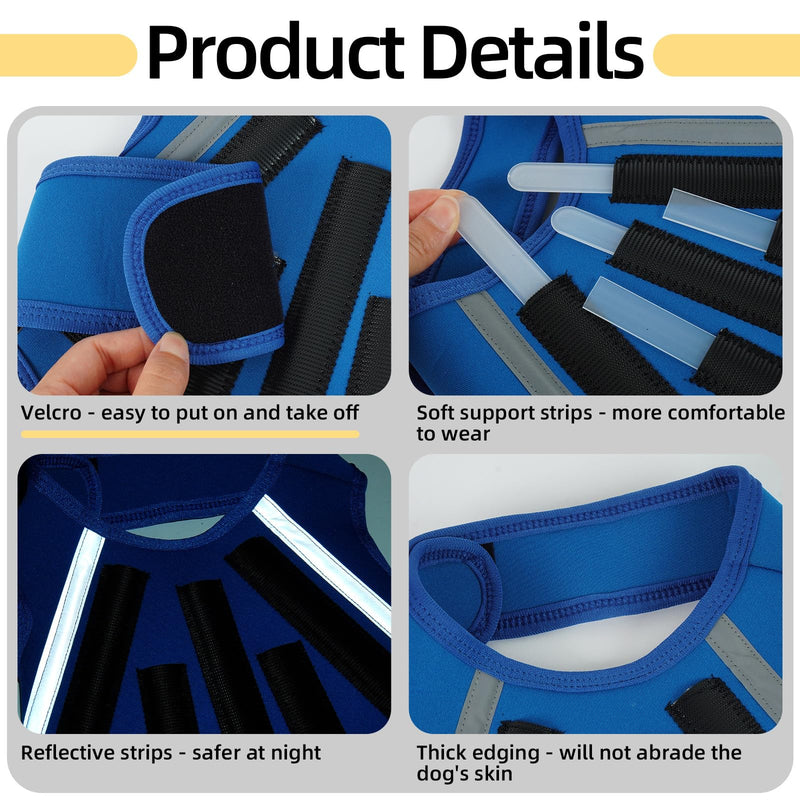 Dog Back Brace M, Adjustable Spine Support Vest for IVDD, Slipped Disc, Herniated Disc, Arthritis, Post Surgery Recovery, Back Pain Relief for Dachshund,Corgi Blue