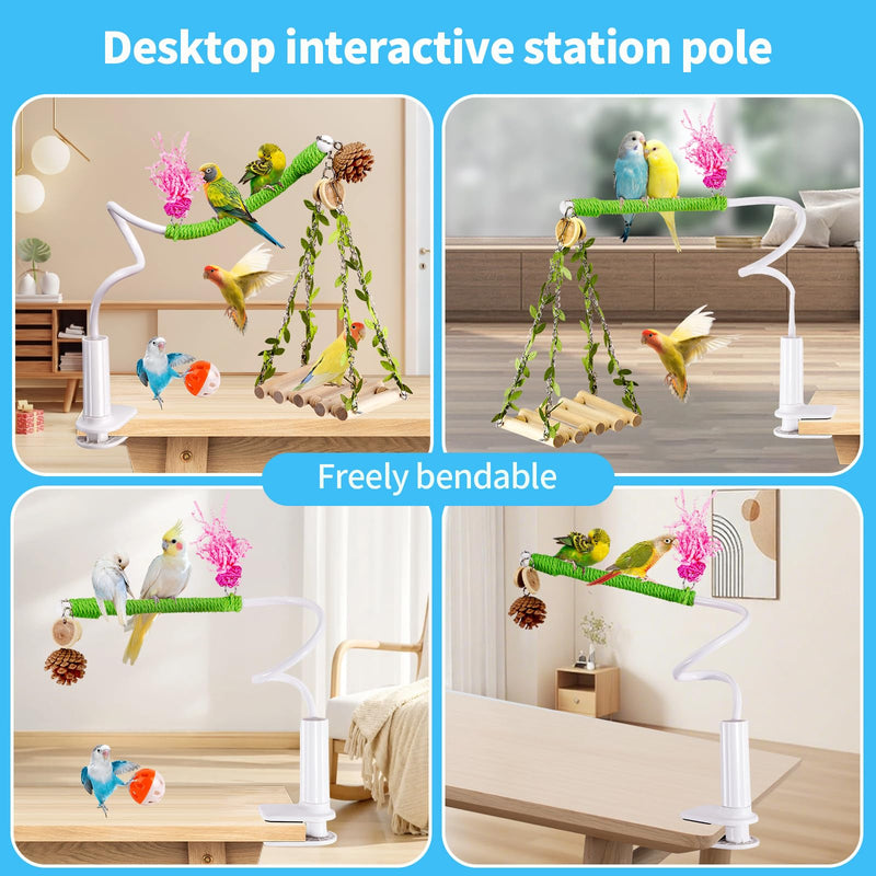 Bird Perch Stand with Swing, Desktop Bird Toy & Stand for Interacting, Interactive Playground for Sun Conure, Lovebirds, Conure, Budgie, Cockatiel - Non-Slip Adjustable Perch