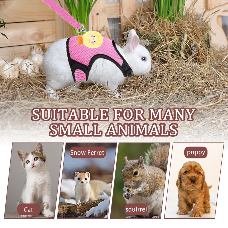 4-Pack Rabbit Harness and Leash Set, Rabbit Leash and Harness Set Escape Proof, Adjustable, with 2 Pendants, for Ferrets Pigs Puppies Small Animals Pets Outdoor Walking Supplies (Pink/Blue) - PawsPlanet Australia