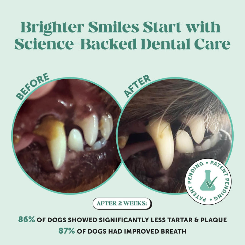 Dog Breath Freshener Dental Powder for Teeth Cleaning Plaque Off, Dental Care for Large Dogs, Tartar Remover for Teeth with Natural Herbal Blend + Postbiotics (Mint - 60 Servings) Dog Dental Powder Large Dog - PawsPlanet Australia