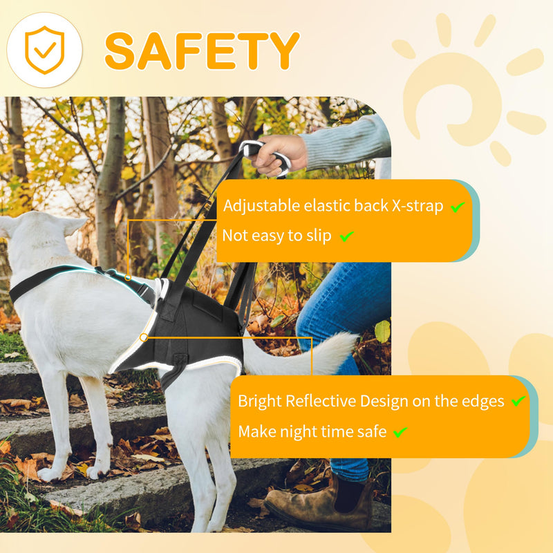Dog Sling for Large Dogs Rear Leg Support, Adjustable Sling Support for Large Dogs Hind Legs, Hip & Back Leg Joint Injury Dog Lift, Help Me up Harness for Pets,XL XL Dog Lift Harness - PawsPlanet Australia