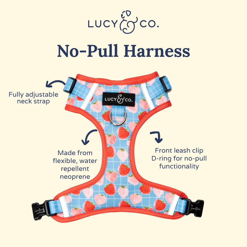 Lucy & Co. The Fresh Berries No-Pull Dog Harness - Size Small- Vest to Stop Pulling & Walk Easy - Comfortable Leash Training Product w/Adjustable Chest & Neck Straps The Fresh Berries No-Pull Harness - PawsPlanet Australia