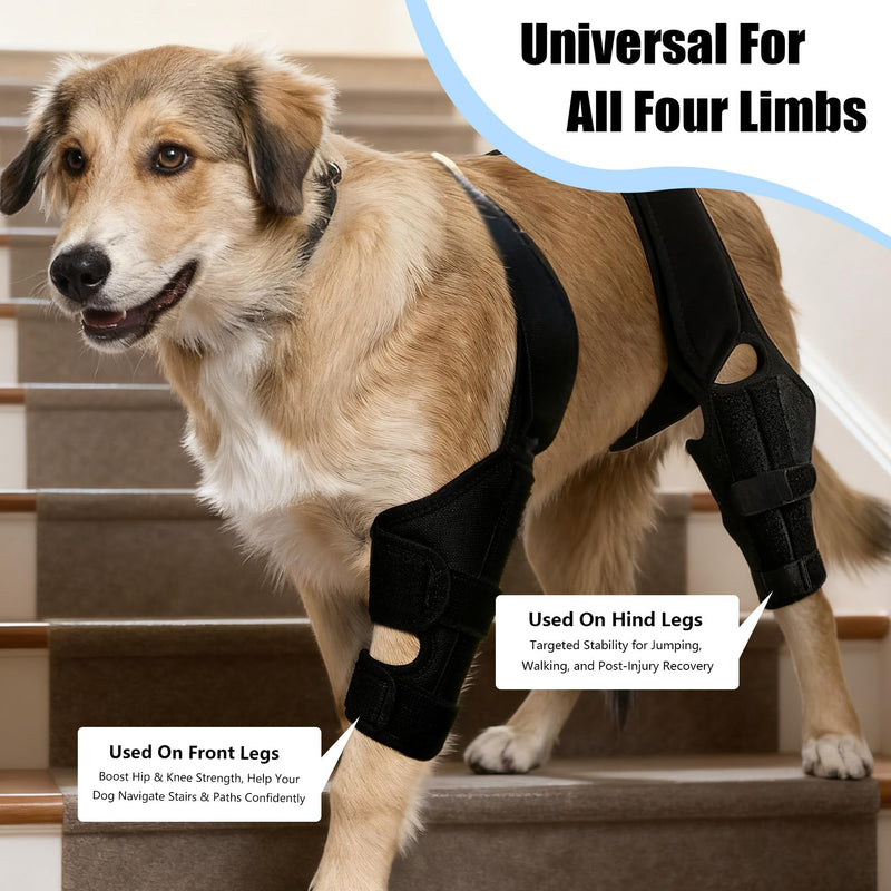 Dog Knee Brace for Torn ACL/CCL & Hind Leg Support - 13 -M