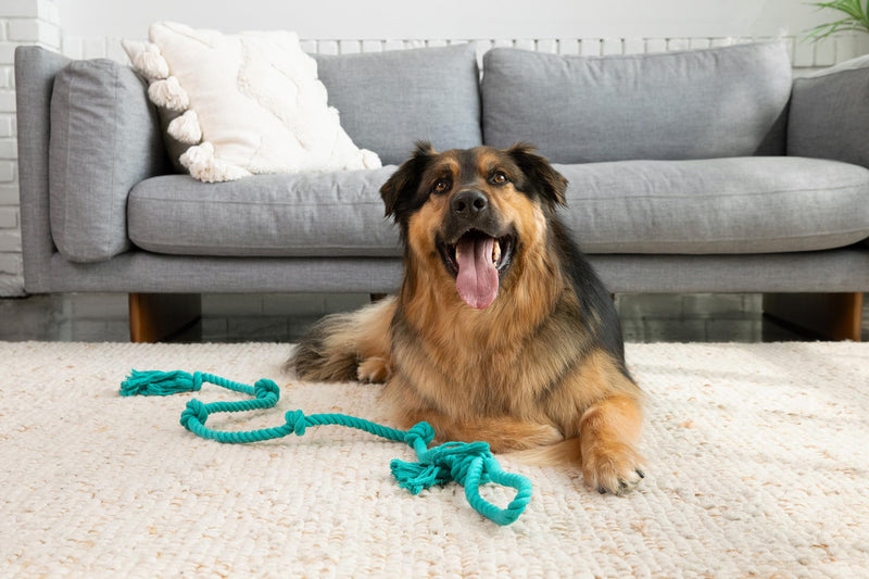 Tumbo Tough Tug Rope Dog Toy - (5 ft Long Strong and Durable Rope Pull Toy with Handle) TUG of WAR Dog Toy (Bahama Blue) Bahama Blue