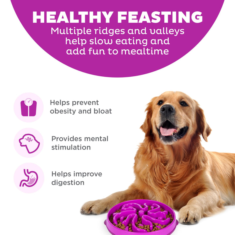 Outward Hound Fun Feeder Slo Bowl, Large Slow Feeder Dog Bowl, 4 Cups, Purple - PawsPlanet Australia