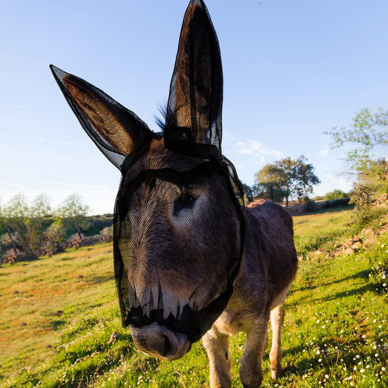 1 Pcs Small Donkey Fly Mask with Ear Protection Breathable Mule Fly Mask with Long Ears Protection from Insects and Bugs Soft Mesh with Adjustable Fastener Easy get on and Off(Black) Black 1