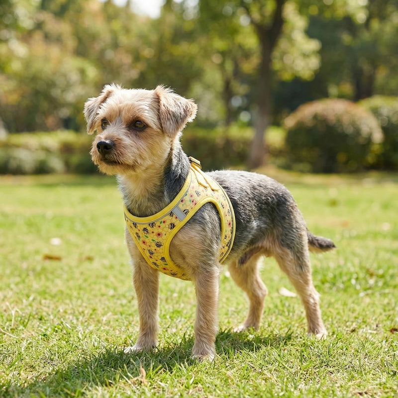 Step in Dog Harness and Leash Set, Reflective Adjustable No Pull Dog Harness for Small Medium Dogs Puppy and Cats, Soft Padded Mesh Vest Harnesses for Girl and Boy Pets(Bee,L) Bee L-Chest:18.9-21.3inch - PawsPlanet Australia