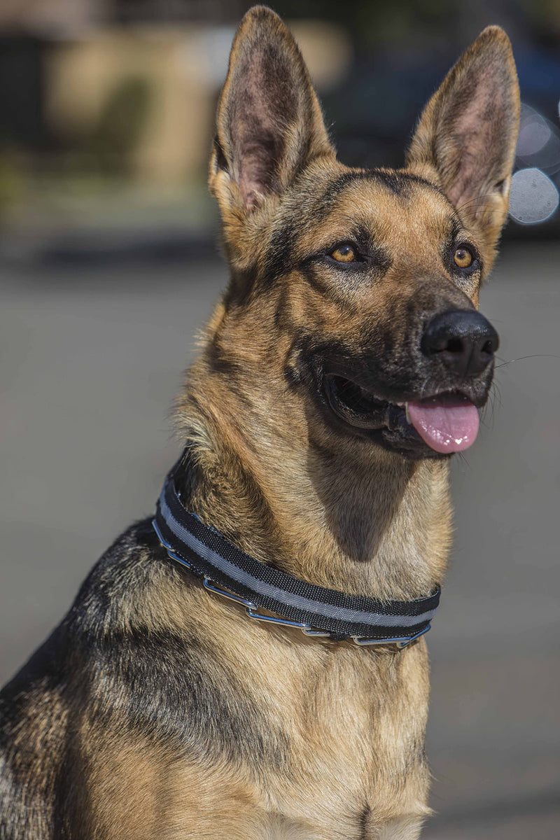 Nala’s World Dog Prong Training Collar, No Pull Pinch Safety Collar with LED Light, Comfort Tips and Quick Release Snap Buckle, for Small, Medium & Large Dogs - PawsPlanet Australia