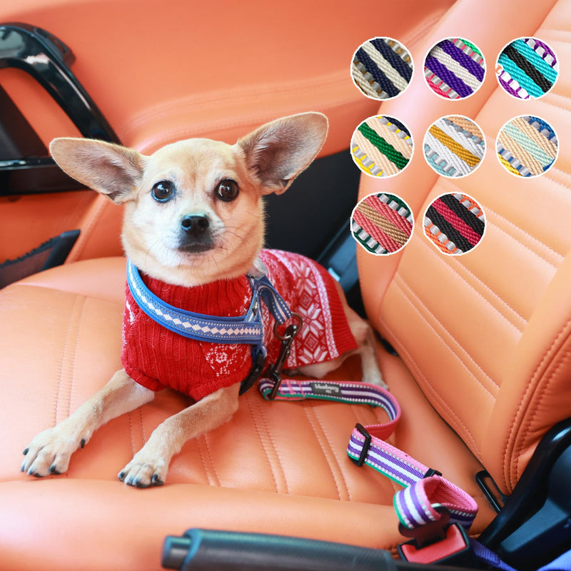 Blueberry Pet Dog Leash Puppy Essentials - 3M Reflective Dog Seat Belt for Car, Adjustable Car Leash Tether for Safe Travel in Cars, Olive and Blue-Gray, 16.5"-25.5", Pet Car Accessory 16.5-25.5 Inch (Pack of 1) - PawsPlanet Australia