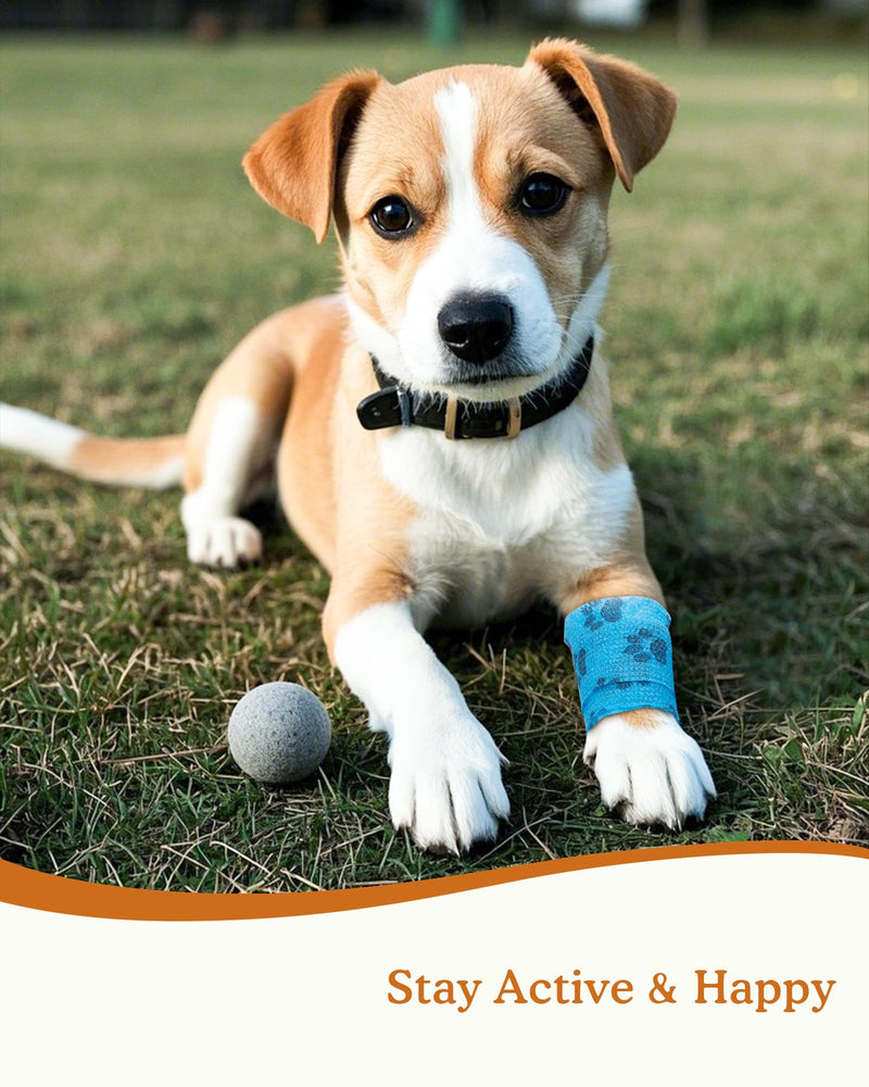 Self-Adhesive Vet Bandage Wrap, First Aid for Dogs & Horses, Multi-Use for Gear Grip & Cable Organizing, Individually Wrapped, 2 Inch, 8 Rolls, Rainbow Paw 8 Count (Pack of 1) - PawsPlanet Australia