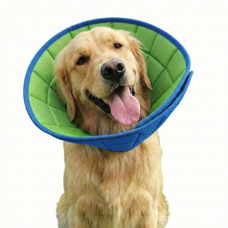 Dog Cone Collar (XL) XL