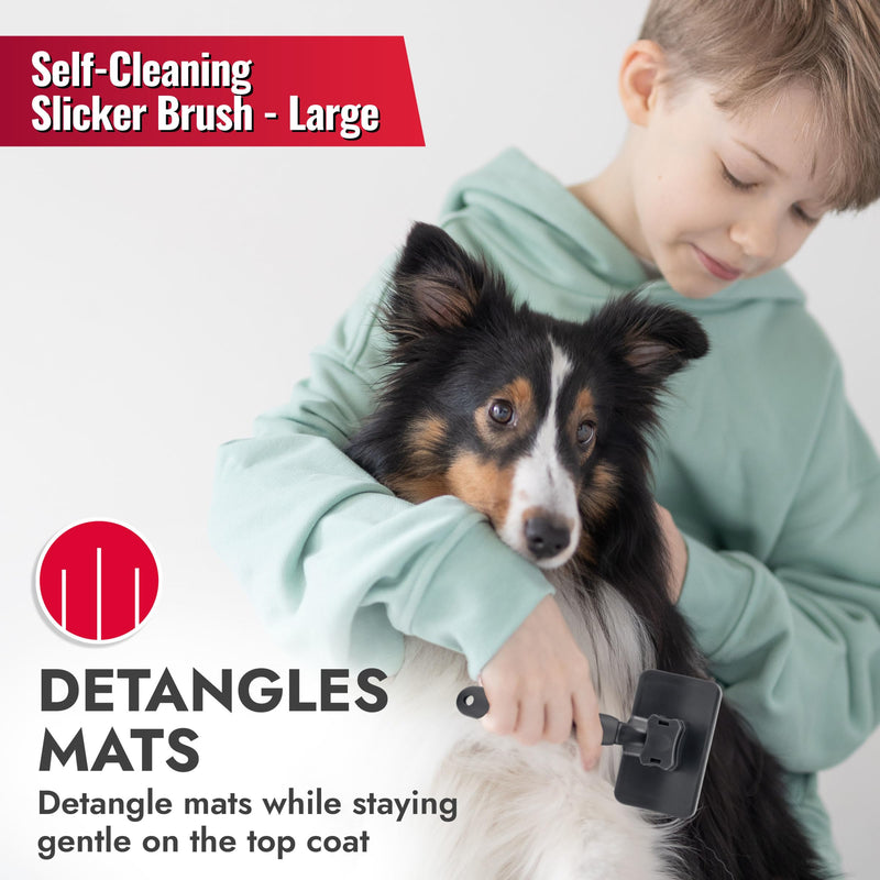 KONG Large Self-Cleaning Slicker Brush – Easy Hair Removal, Reduces Shedding, Non-Slip Grip, Long Metal Pins, for Medium to Large Dogs with Medium to Long Coats, Red/Gray - PawsPlanet Australia