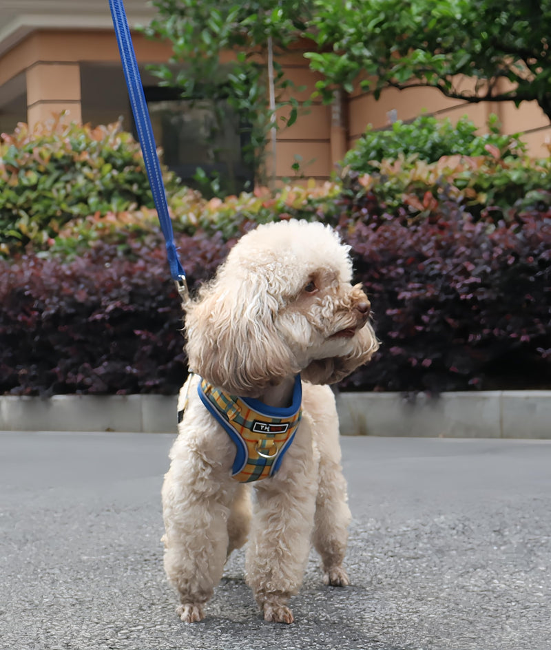 THAIN Reflective Dog Harness & Leash Set – No-Pull Design, Adjustable & Comfortable for Small Dogs (XS, Yellow Plaid) XS - PawsPlanet Australia