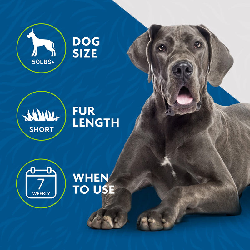 FURminator Undercoat Deshedding Tool for Dogs, Deshedding Brush for Dogs, Removes Loose Hair and Combats Dog Shedding short hair - new model Large