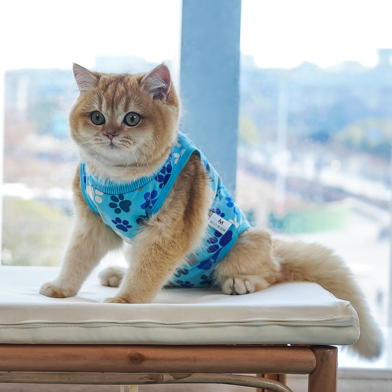 Cat Recovery Suit – Soft, Breathable Onesie for Female & Male Pets After Surgery, Spay, Neuter or Wounds, Surgery Outfit, Cone Alternative, Litter Access, Machine Washable, Blue Paw Print Large