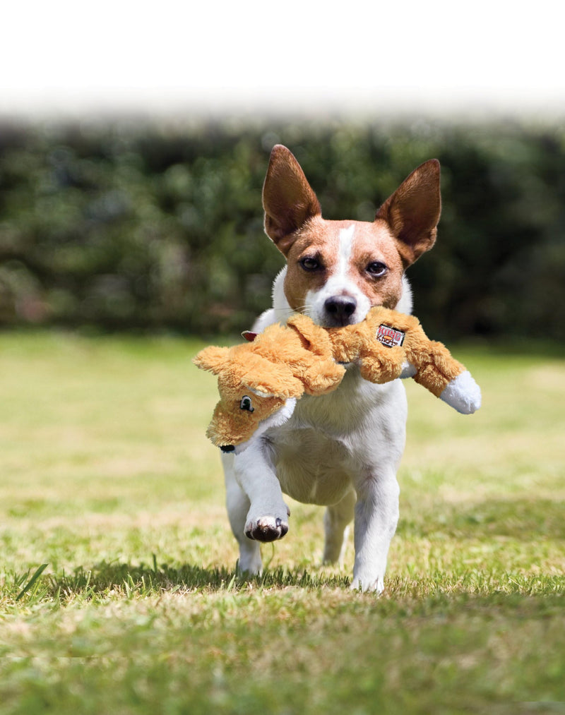 KONG - Scrunch Knots Squirrel - Internal Knotted Ropes and Minimal Stuffing for Less Mess - For Small/Medium Dogs - PawsPlanet Australia
