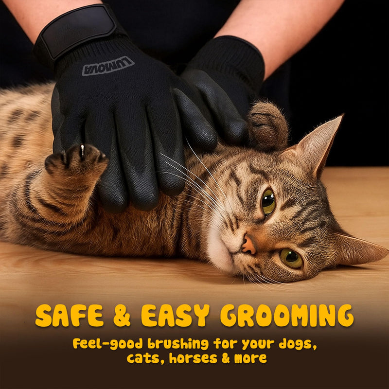 Pet Grooming Glove – Patented Rubber-Massage Shedding Bath & Hair Remover for Dogs, Cats & Livestock – Lightweight, Flexible, Secure Fit (Black) Black - PawsPlanet Australia