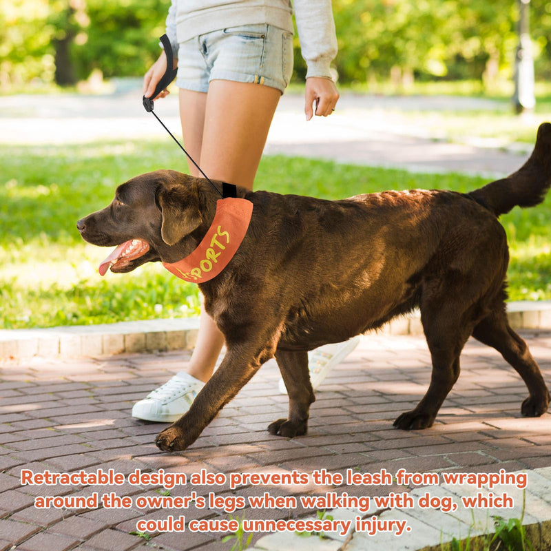 2 in 1 Dog Collar with Retractable Dogs Leash, Adjustable Dog Collar for Medium to Large Dogs Size L - PawsPlanet Australia