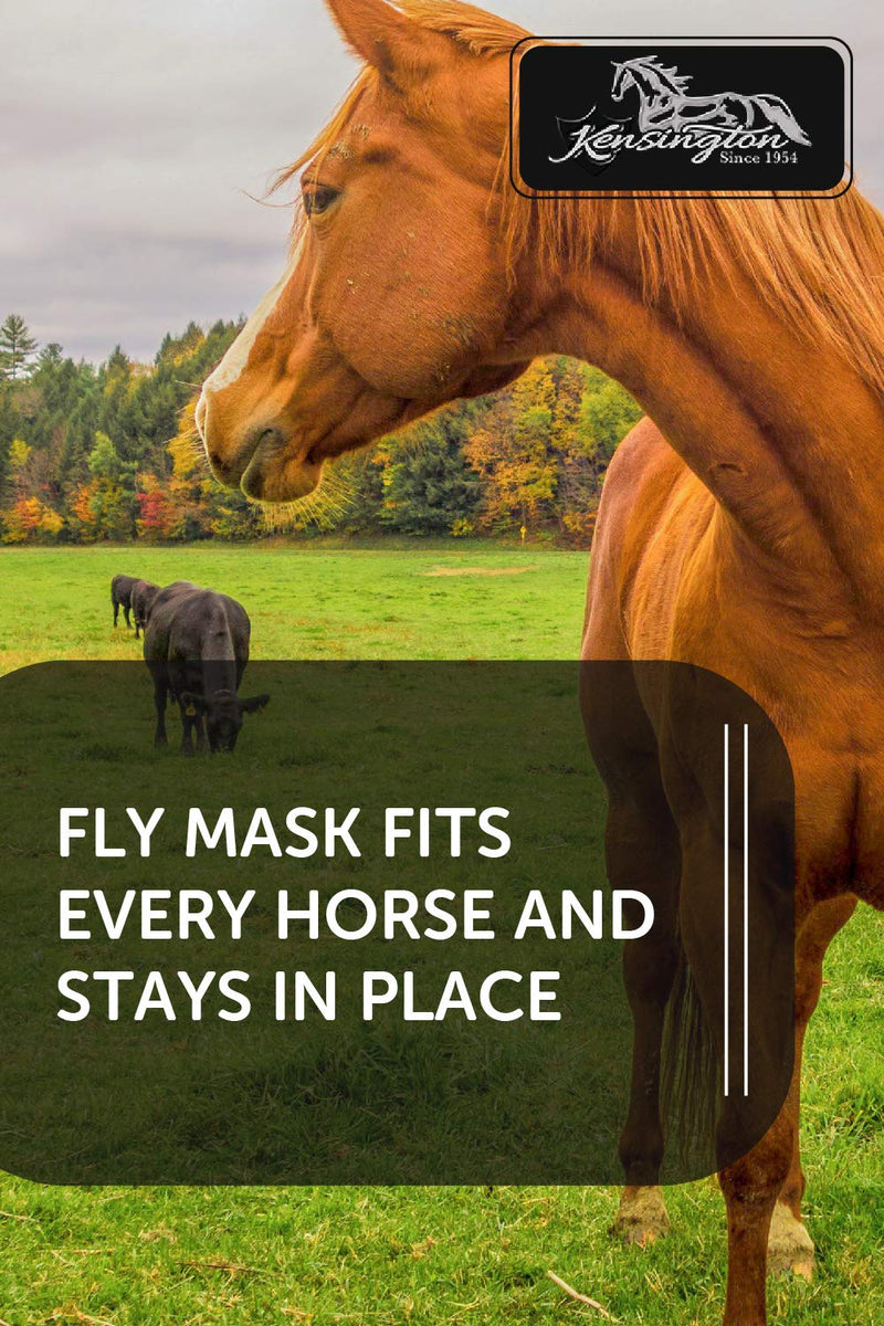 Kensington Fly Mask with Fleece Trim for Horses — Protects Face and Eyes from Flies and Sun Rays While Allowing Full Visibility — Breathable and Non Heat Transferring, Large, Tan - PawsPlanet Australia