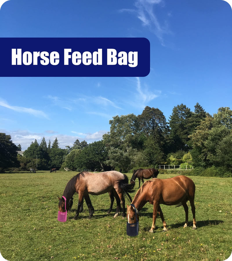 Horse Feed Bag for Grain - Heavy Duty Mesh Horse Feeder with Adjustable Strap,Comfort Neck Pad,Nose Pad Horse Muzzle (Medium,1Blue+1Pink) 1Blue+1Pink - PawsPlanet Australia