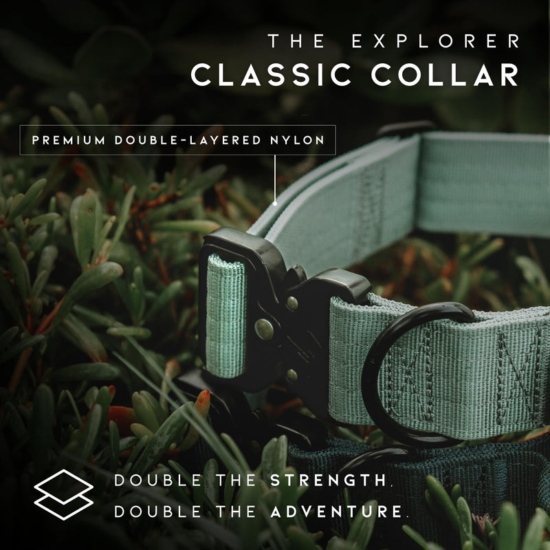 Made to ROAM Premium Dog Collar - Adjustable Heavy Duty Nylon Collar with Quick-Release Metal Buckle (Oregon Haze, Classic Size 4) Oregon Haze Classic 4 - PawsPlanet Australia