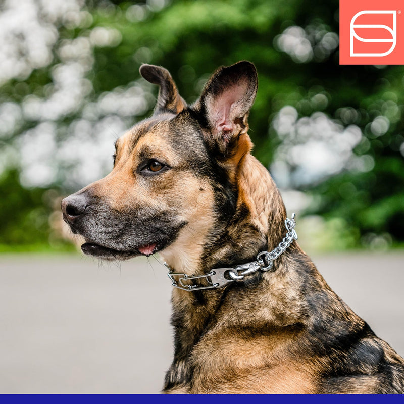 Herm. Sprenger Ultra-Plus Prong Dog Training Collar with Quick Release Snap and Swivel, Anti Pull Training Pinch Collar, Steel Chrome Plated (3.0 mm x 18" Neck Size; 23" Chain Length) 3.0 mm x 18" Neck Size; 23" Chain Length