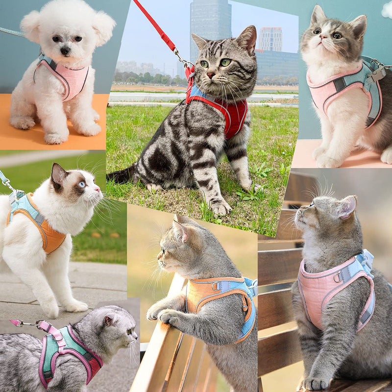 Cat Harness,Leash and Collar Set,Escape Proof Kitten Vest Harness for Walking,Easy Control Night Safe Pet Harness with Reflective Strap and Bell for Small Large Kitten,Fit for Puppy,Rabbit Medium (Pack of 1) Pink/Blue