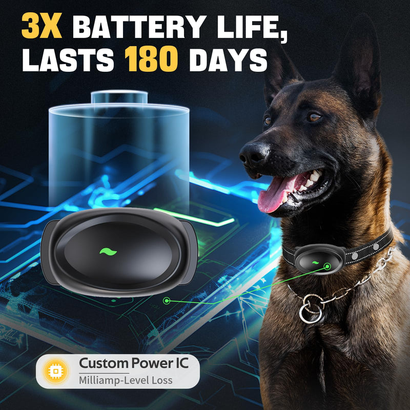 2024release Elite K9 Dog Training Collar with Remote - 3300ft Range Dog Shock Collar with 4 Training Modes, 42 Levels E collar, IPX67 Waterproof, 180 Days Battery Life, Designed by Elite K9 Trainer - PawsPlanet Australia