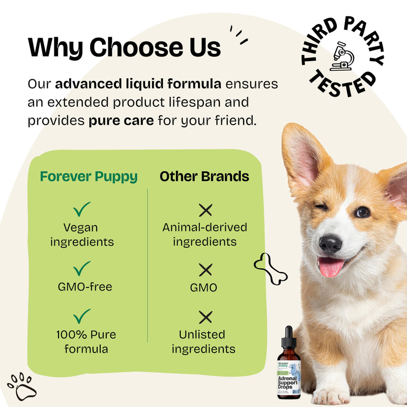 Adrenal Support for Dogs - Calming Drops for Dogs w/Liquid Ashwagandha & Schisandra Berry - Adrenal Drops for All Breeds & Sizes - Liquid Dog Vitamins and Supplements for Adrenal Health - 2 oz - PawsPlanet Australia