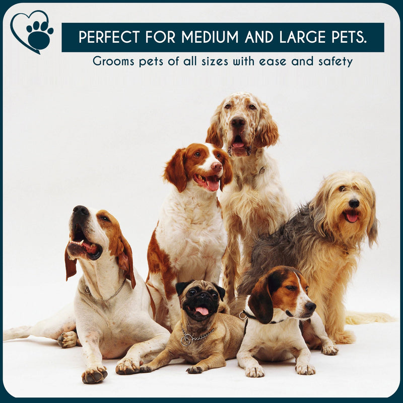 Candure Dog Nail Clipper with LED Light- Illuminates Nail Bloodline for Safer Trimming, Sharp Blade & Quick Sensor Safety Guard for Thick Nails - Grooming Tool for Dogs & Cats with Nail File Sky Blue With Light Pet Clipper with LED Light