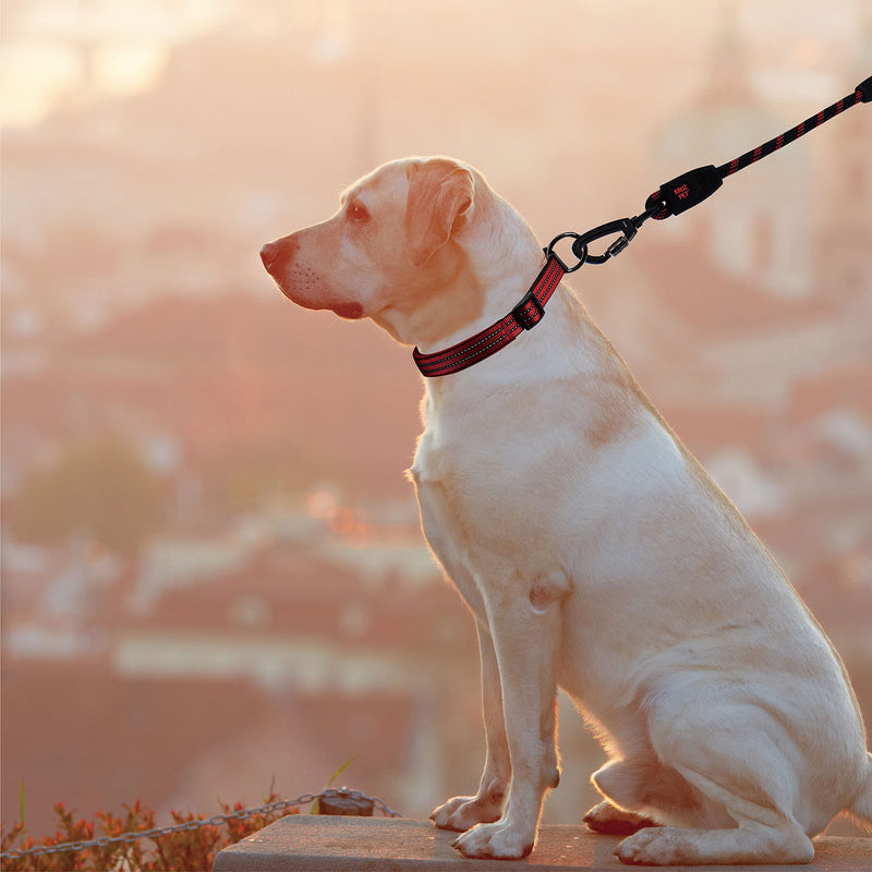 KRUZ Dog Leash (Width - 1/2”, Length - 20 INCH) Reflective Rope Lead with Soft Silicone Grip, Click & Lock Snap Lightweight Leash for Dogs, Durable & Tangle-Free For Walking, Running & Training - Blue - PawsPlanet Australia