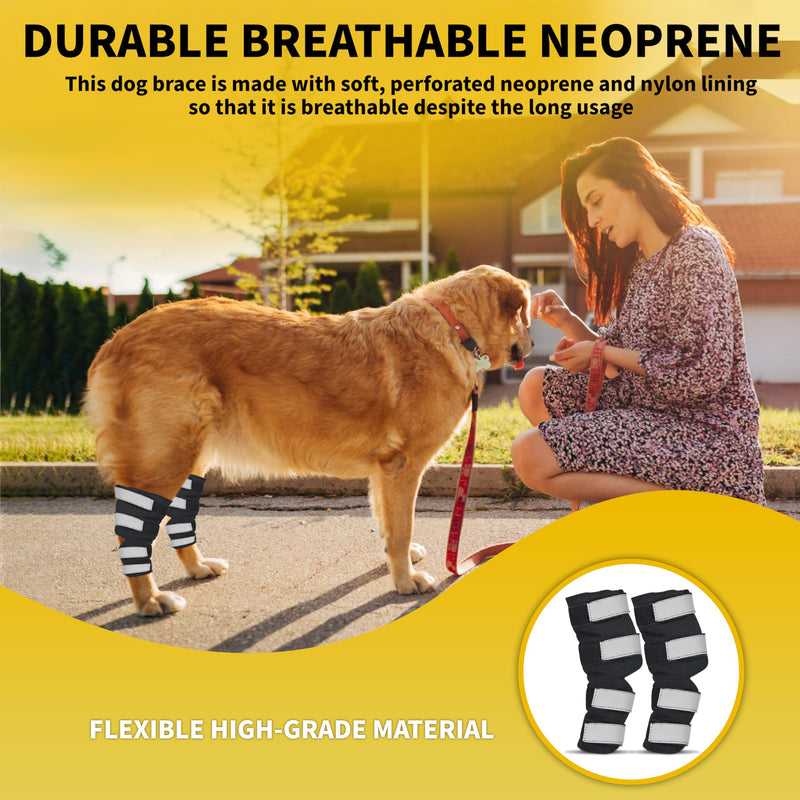 AGON Dog Hock Brace Supportive Pair Hock Joint Brace with Metal Strings and Reflective Wraps Compression Straps Canine Back Leg Protects Wounds. Heals Injuries Sprains Loss Stability by Arthritis Extra Large - PawsPlanet Australia