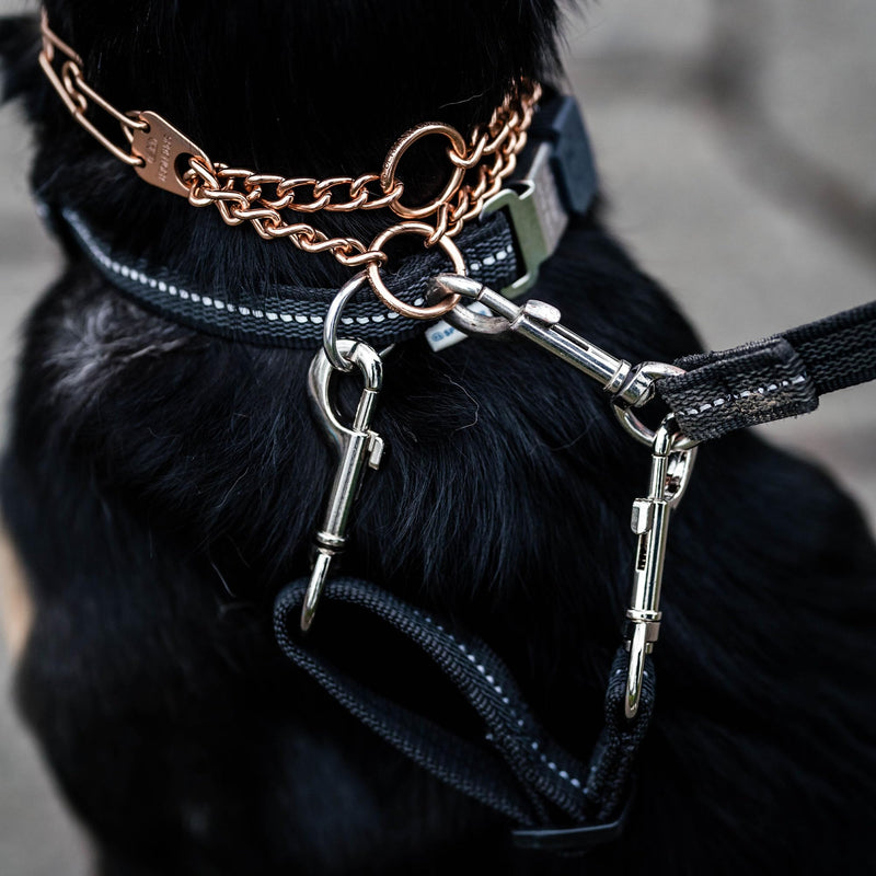 Herm. Sprenger Prong Collar Safety Clip with Reflective Stripes 6"-8" - Pack of 1 Dog Leash Safety Strap - Enhanced Durability for Secure Leash Connection - Ideal for Safe Walk and Training (Black) Black - PawsPlanet Australia