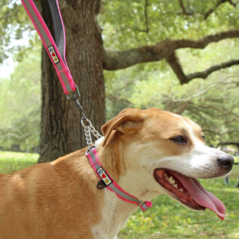 Pawtitas Double Handle Dog Leash Heavy Duty for Training No Pull Leashes Ideal for Medium and Large Dogs | Great for Walking, Running & Training Dog Leash - Medium/Large - Red Medium / Large - PawsPlanet Australia