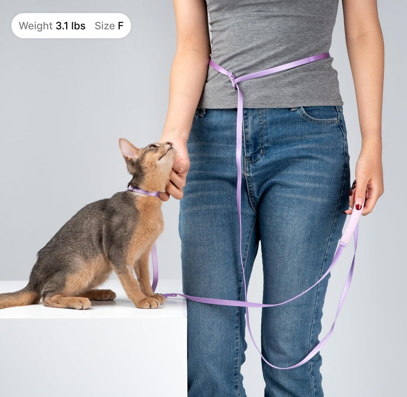 Ultra Lightweight Cat Leash Adjustable with Padded Handle, Soft Thin Nylon Cat Walking Training Waist Crossbody Leash for Kitten>4lbs Small Medium Large Cats Puppy, No Harness (Vivid Red) Vivid Red (No Harness) - PawsPlanet Australia
